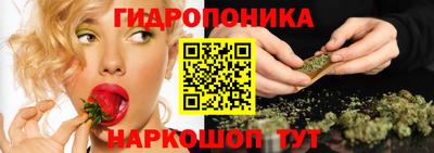 бошки Будённовск