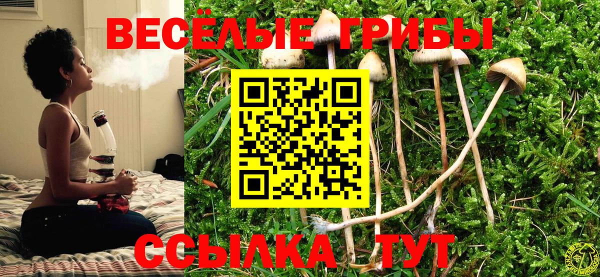 Тосно  Галлюциногенные грибы прущие грибы  где купить наркоту  Вход с VPN 
