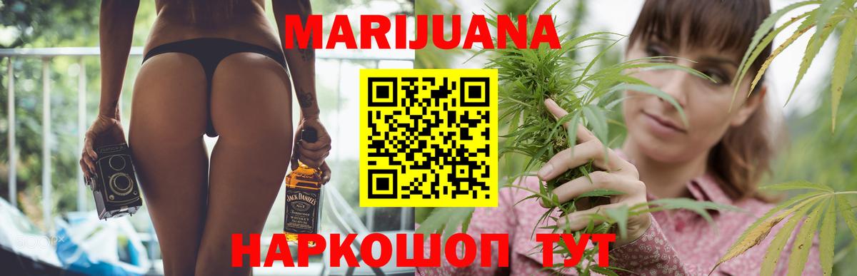 Шишки марихуана план  Вход с VPN  Тосно  Каннабис индика  Конопля VHQ 